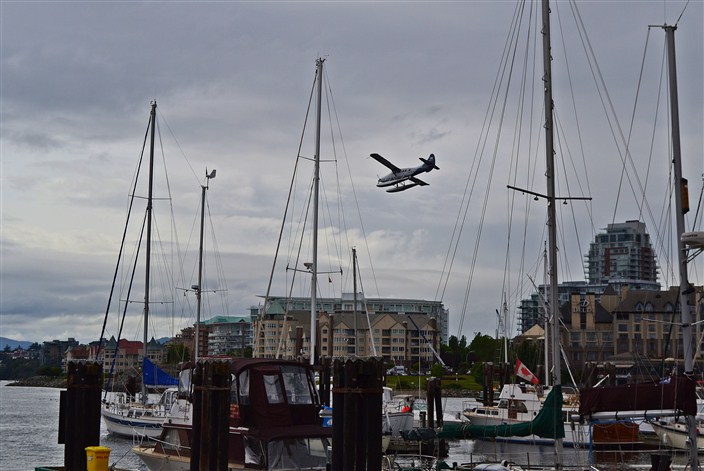Getting buzzed by another seaplane landing in the harbor